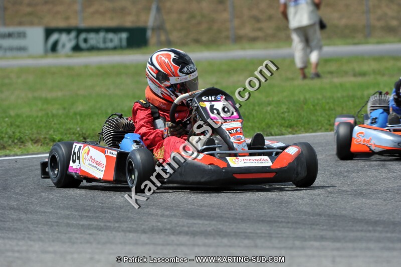 DSC_ (392).jpg